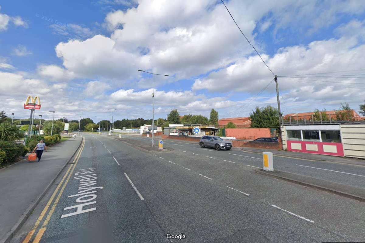 Investment Site 1/3 Acre Of Land Flint Buy or Sell a UK Business