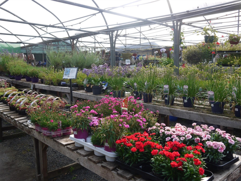 33 Garden Centres & Nurseries for Sale from Daltons Business