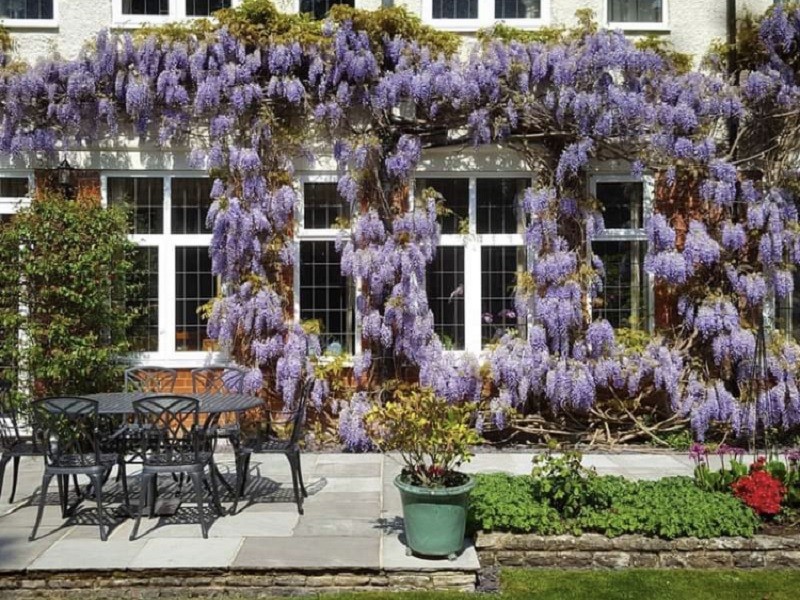 68 Business for Sale in Bournemouth from Daltons Business