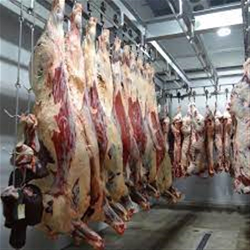 WHOLESALE MEAT DISTRIBUTOR based LONDON Buy or Sell a UK Business