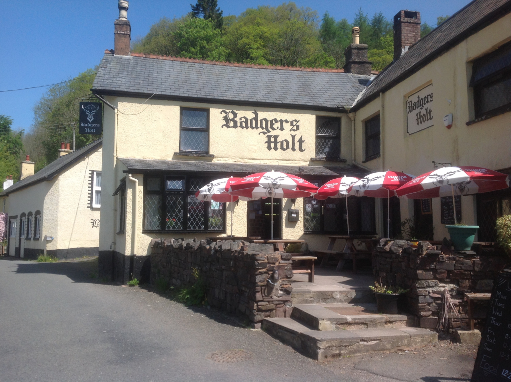 SOMERSET EXMOOR NATIONAL PARK FREEHOUSE WITH HOLIDAY COTTAGE & BARN