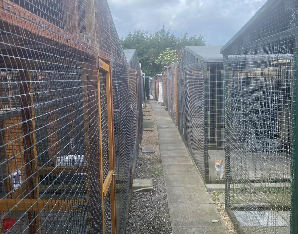 Boarding Kennels and Cattery - Buy or Sell a UK Business with Daltons
