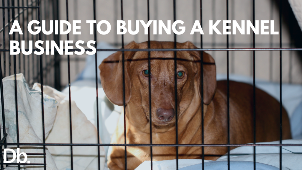 From Paws to Profit Your Guide to Buying a Kennel Business